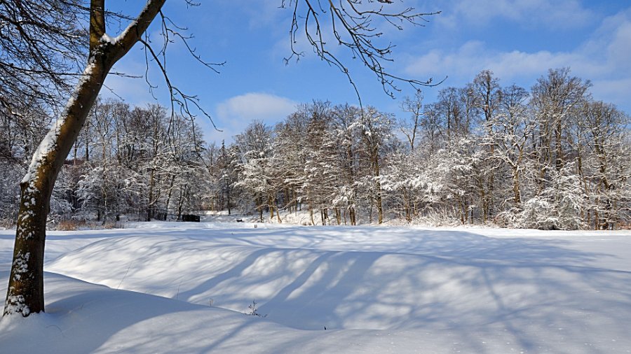 vinter gråsten skov 1